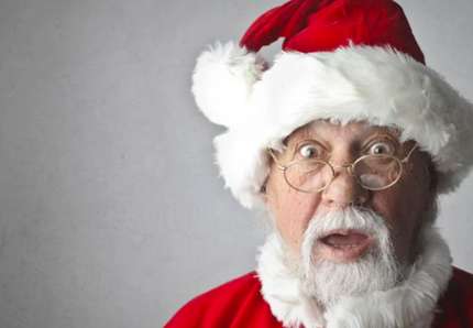 Regali di Natale per cani e gatti
